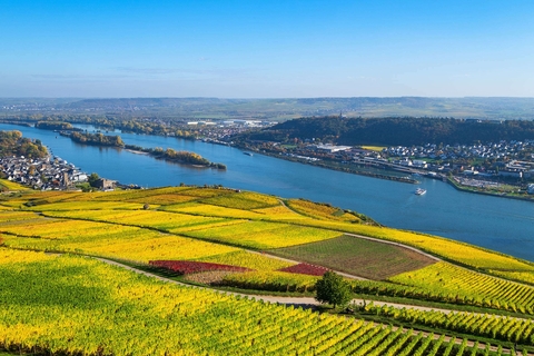 Beleef de Rijnromantiek naar Rüdesheim