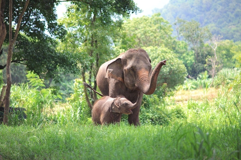 Avontuurlijk Zuid-Thailand