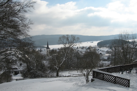 In der Waldemei