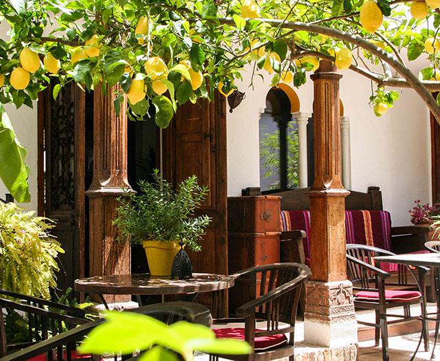 La Posada del Angel — hoofdfoto