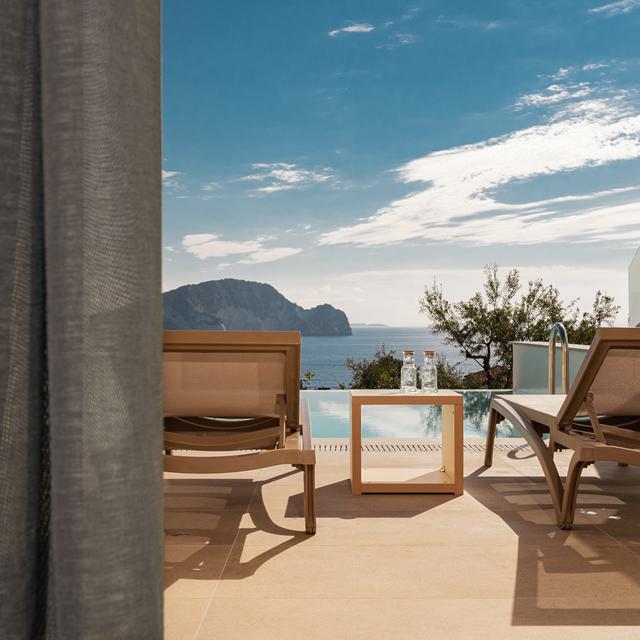 Lente Vivus — hoofdfoto