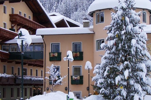 Ferienhotel's Alber Alpenhotel