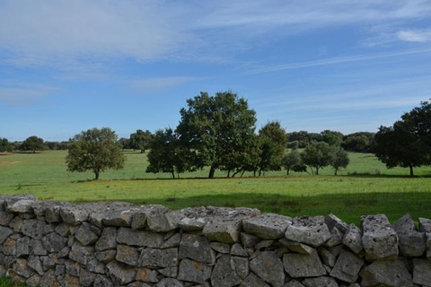 Tenuta Deserto