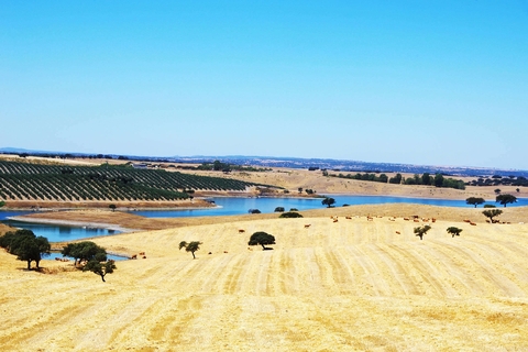 Algarve, Alentejo en Lissabon