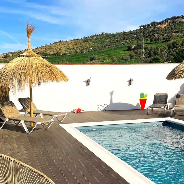 La Sorpresa — hoofdfoto