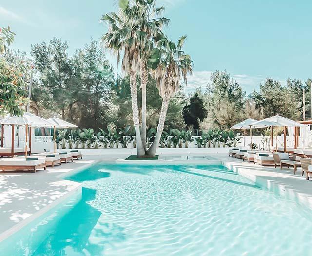 Las Mimosas — hoofdfoto