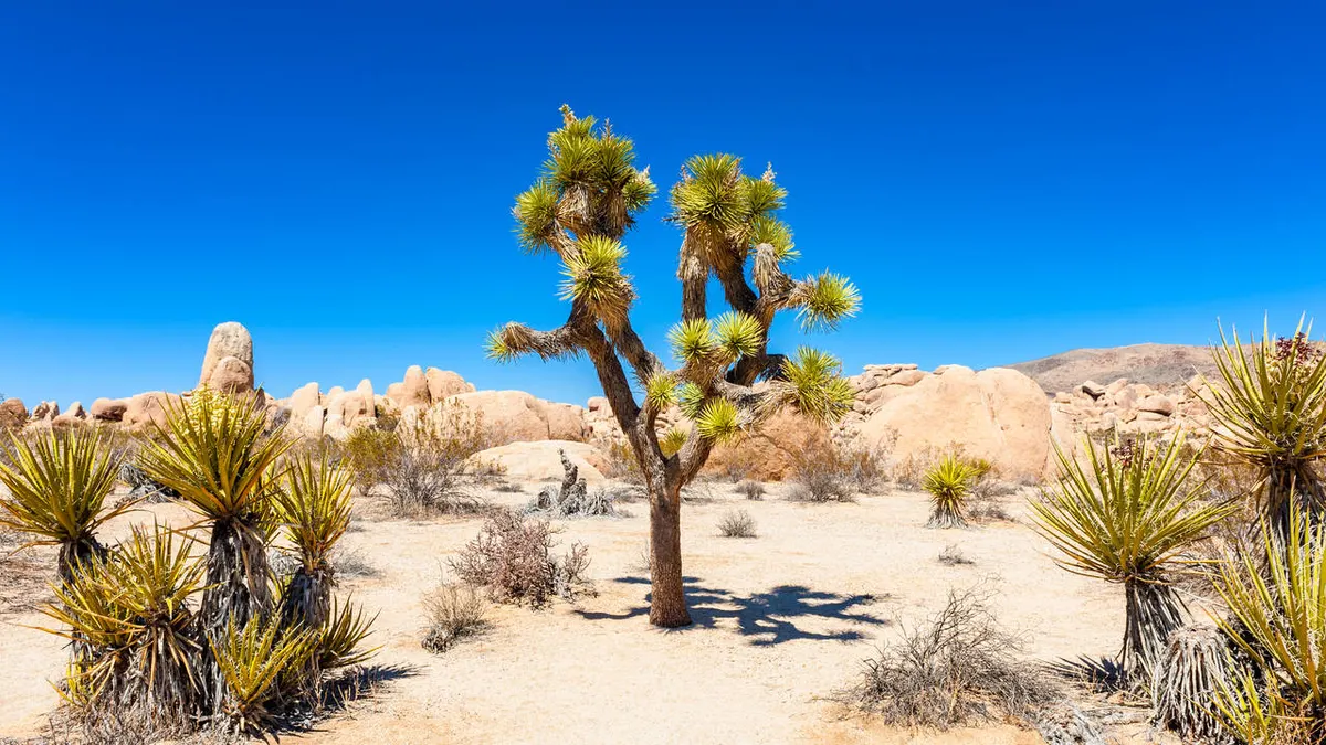 The Ultimate Southwest USA Experience — hoofdfoto