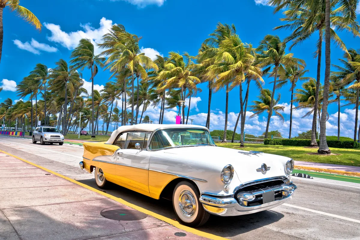 Florida op het gemak — hoofdfoto