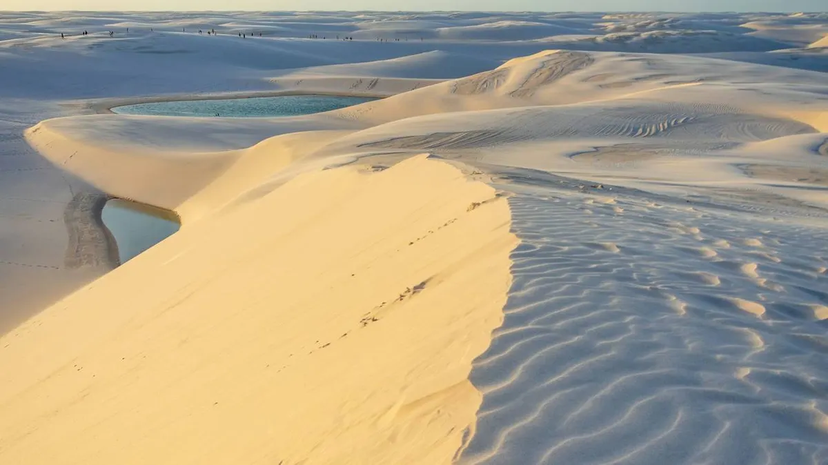 Discover the Nature of Brazil — hoofdfoto