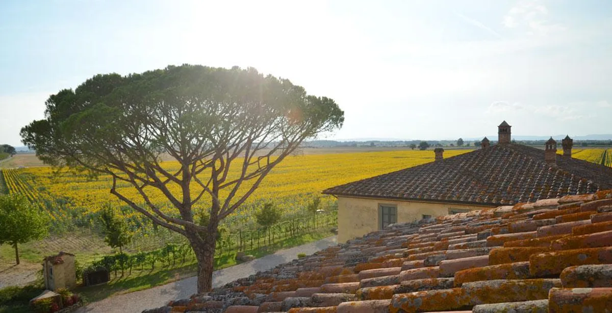 Le Terre dei Cavalieri Appartementen, hoofdfoto