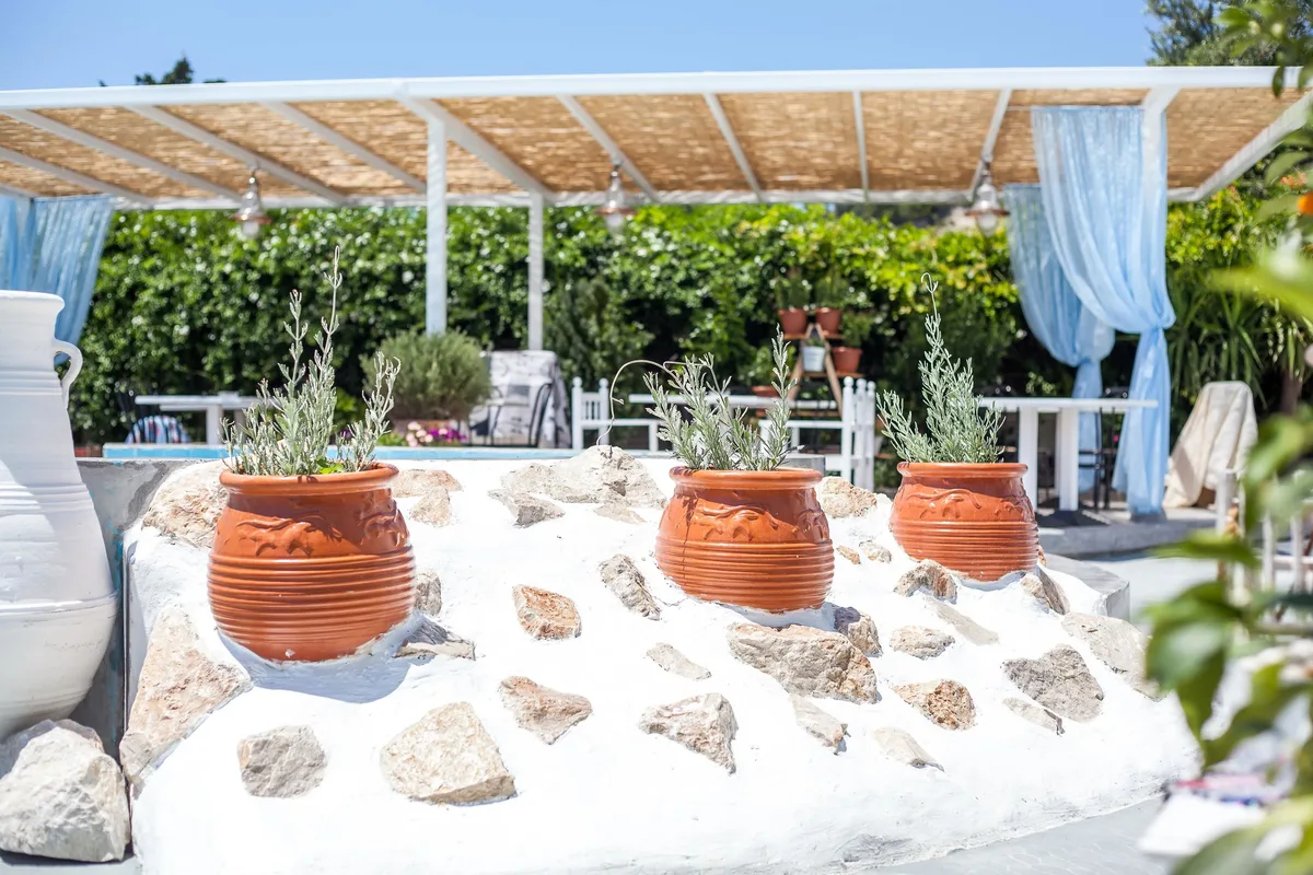 Tina's Plus Hotel — hoofdfoto