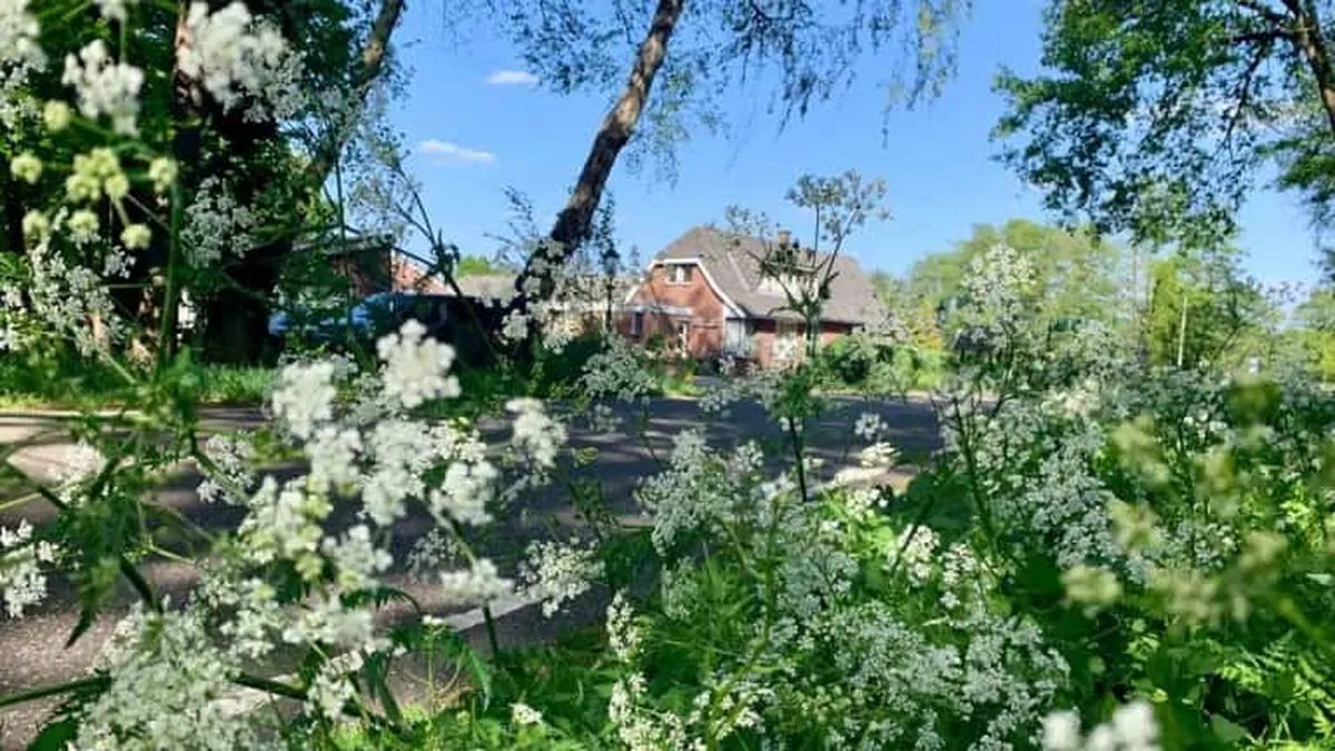 Hotel &ampapos;t Holt — hoofdfoto