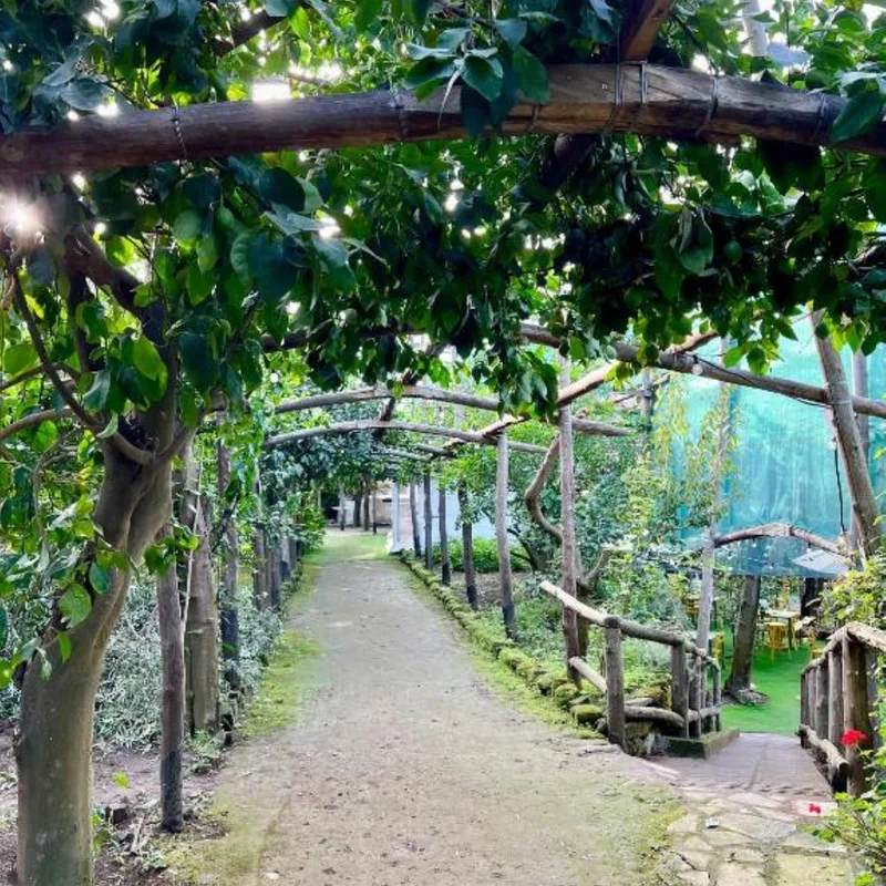 Relais Correale Rooms & Garden, hoofdfoto