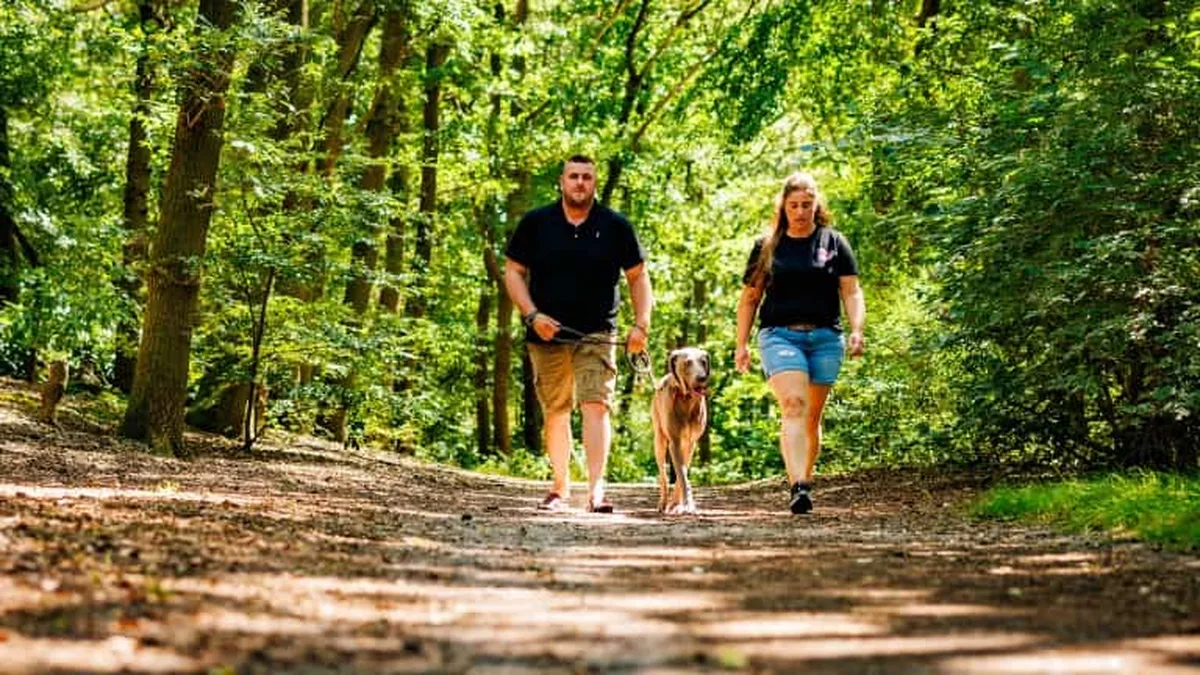 Vakantiepark de Luttenberg — hoofdfoto