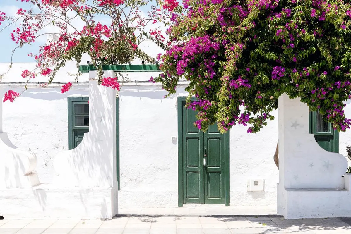 8 dg cruise Canarische Eilanden AIDAcosma — hoofdfoto