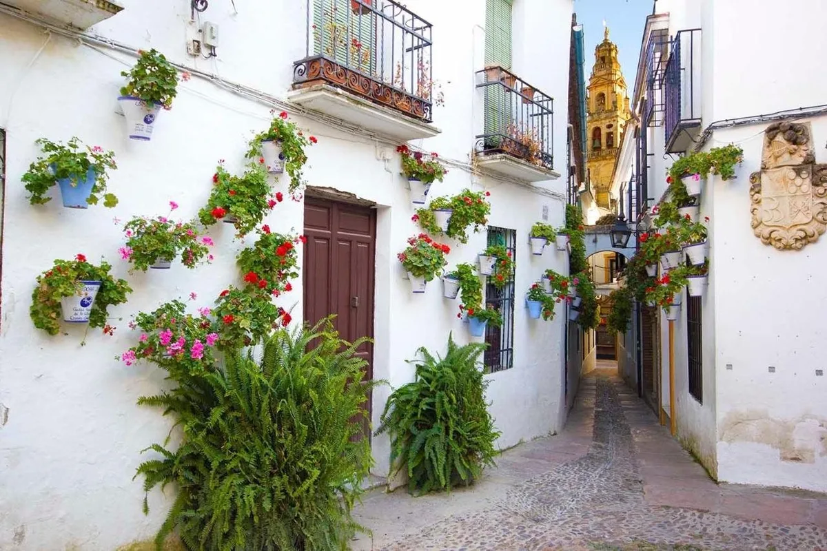 Tandem Torre de la Calahorra Córdoba — hoofdfoto