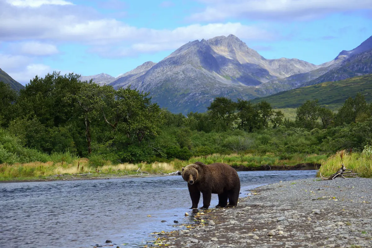 Cruise Alaska & Hawai - Gletsjers en Vulkanen — hoofdfoto