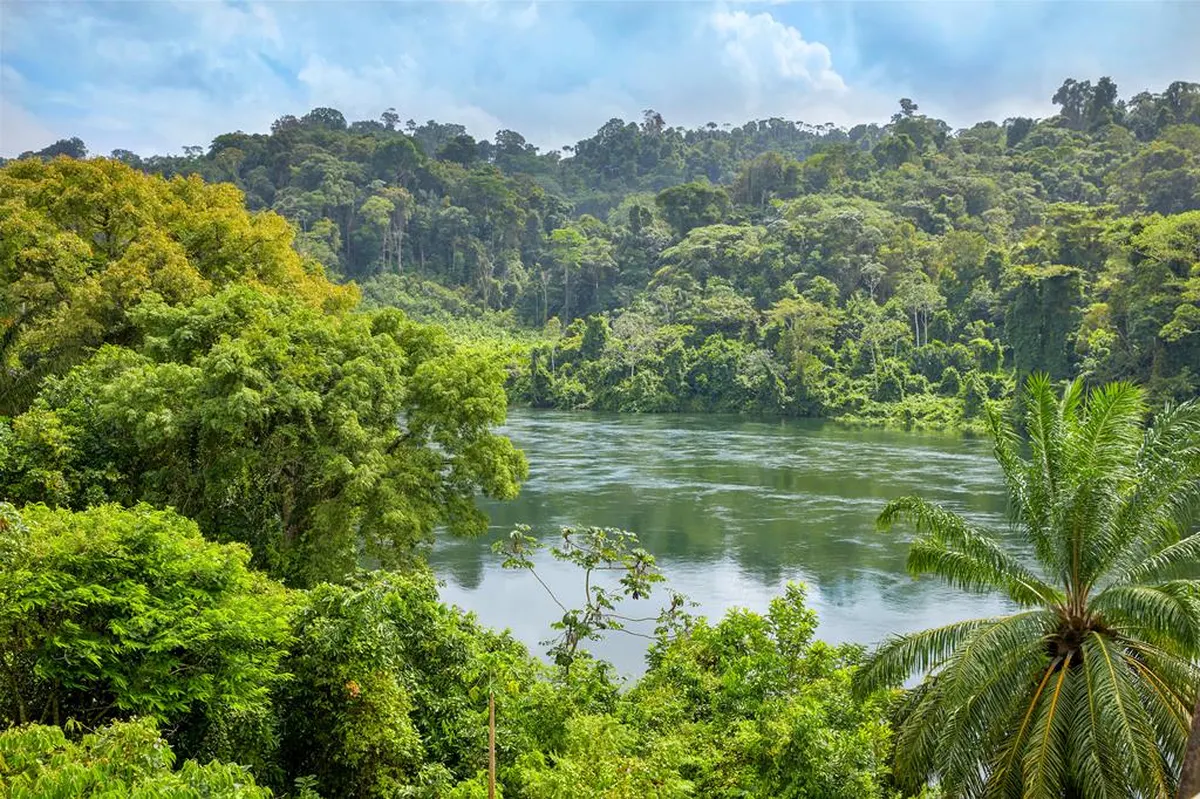 16 daagse fly drive Suriname Compleet — hoofdfoto