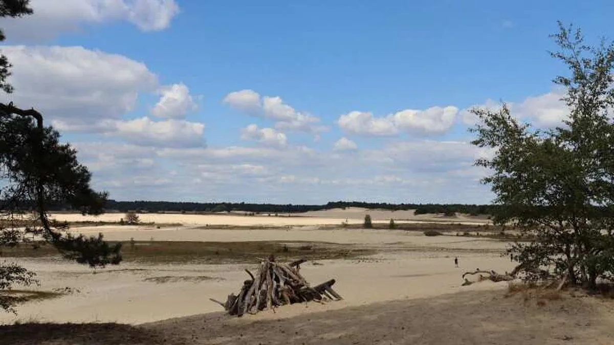 Recreatiepark Duinhoeve — hoofdfoto
