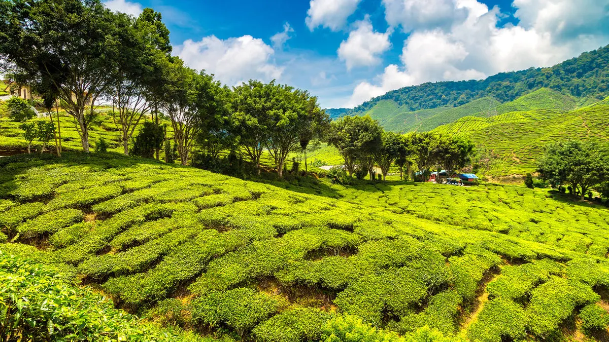 Explore Magnificent Malaysia — hoofdfoto