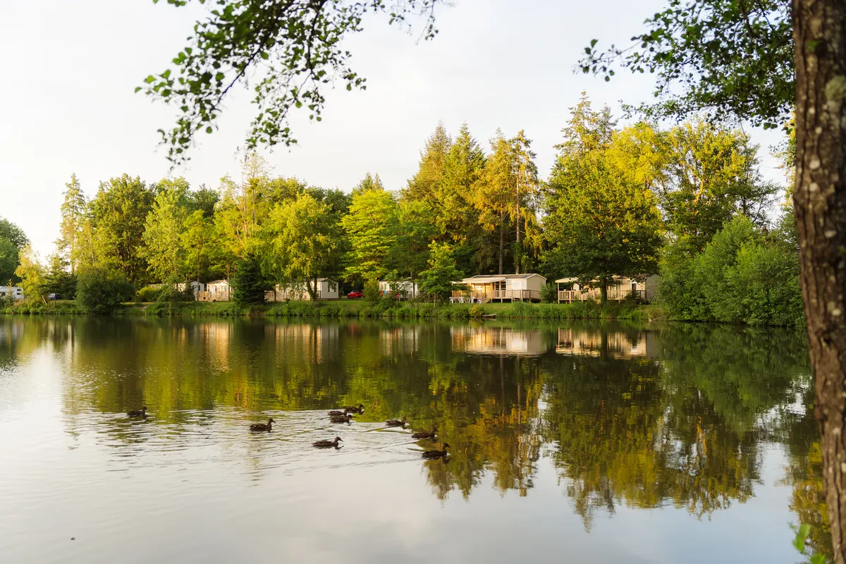 Camping L Etang De Sologne — hoofdfoto