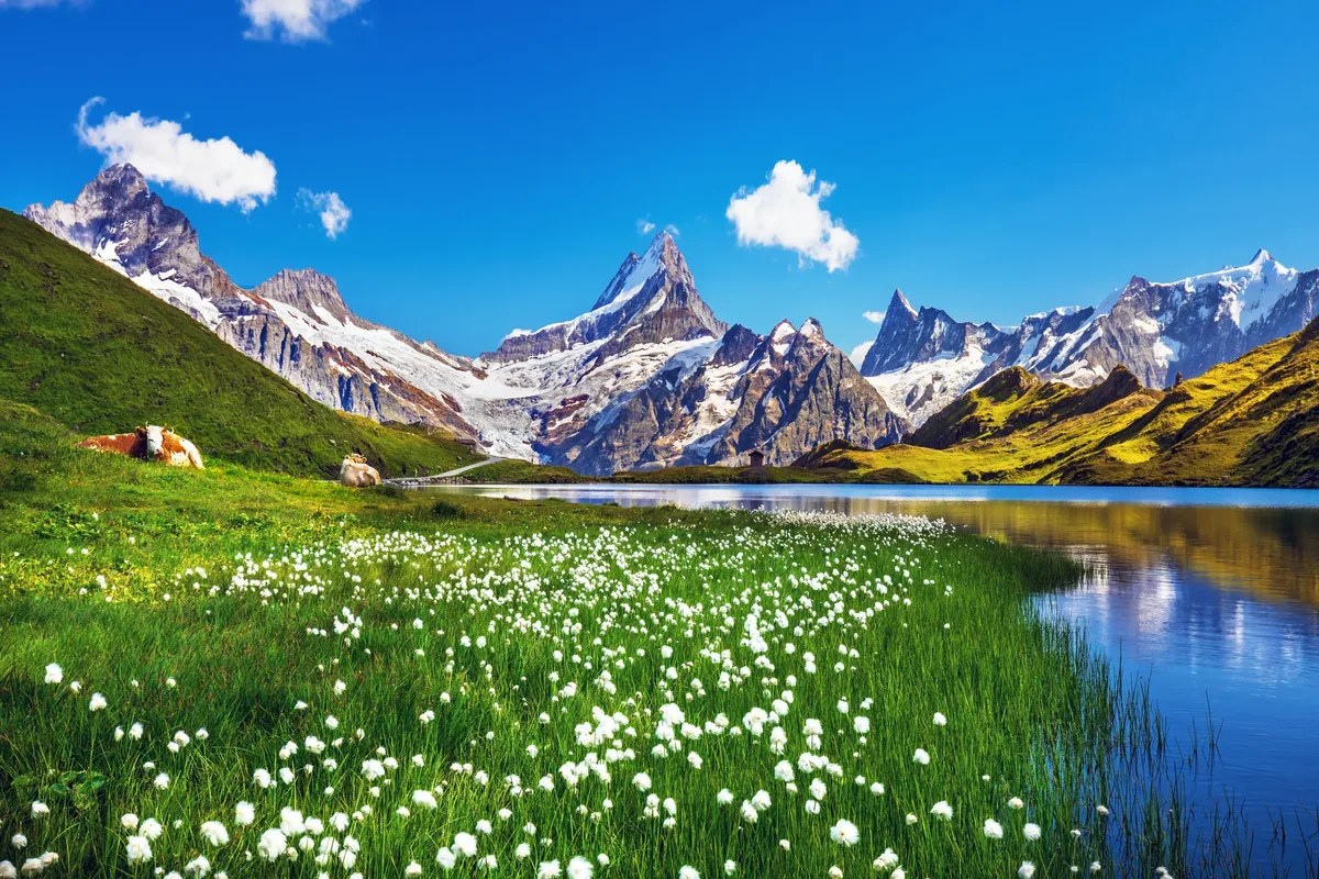 De mooiste Alpentoppen van Zwitserland, Meiringen — hoofdfoto