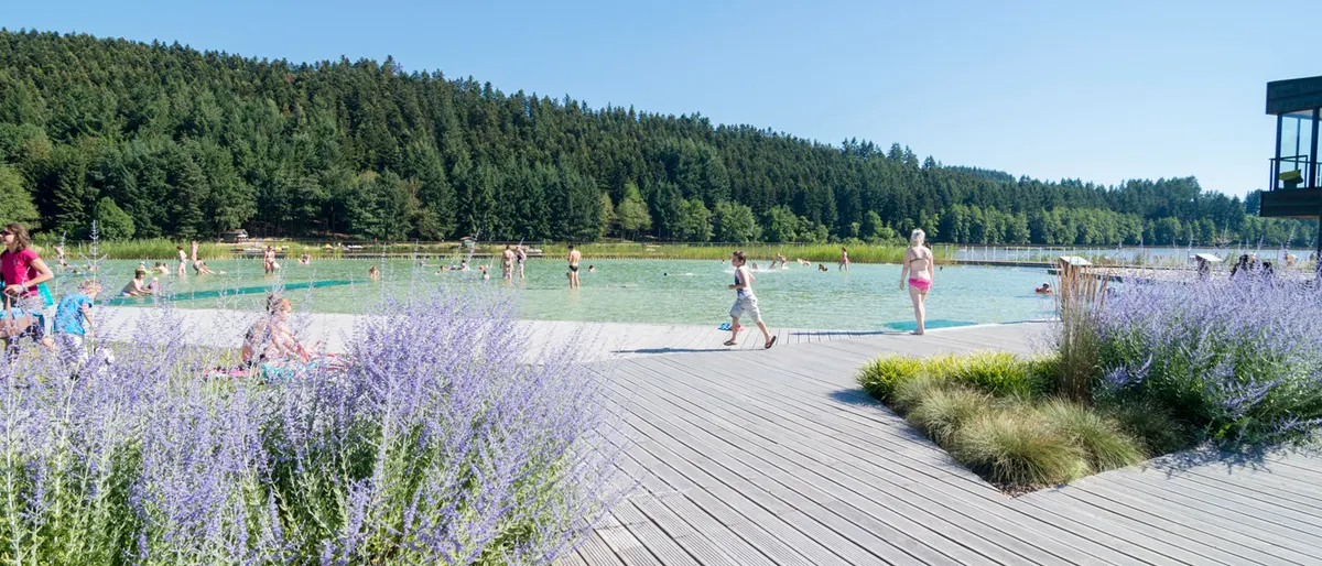 Camping Le Lac Des Sapins — hoofdfoto