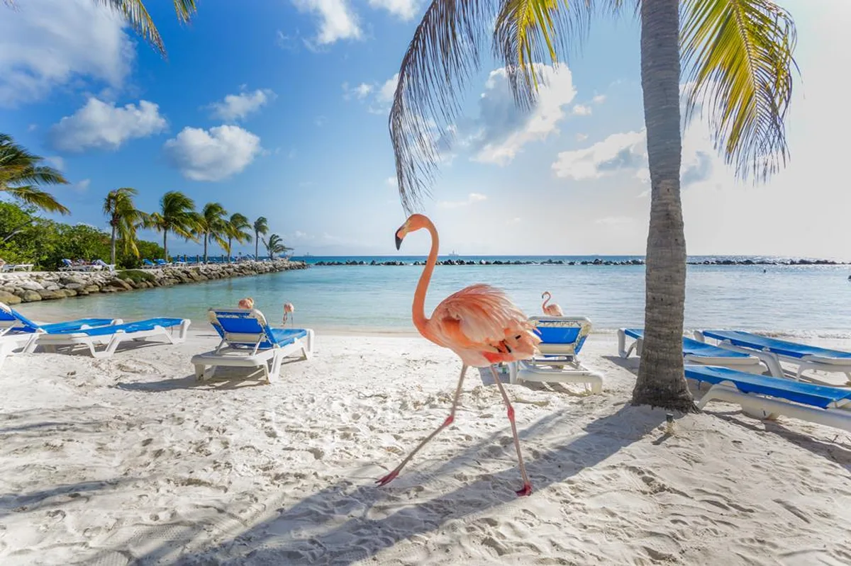 9 dg cruise Caribische Zee Celebrity Beyond — hoofdfoto