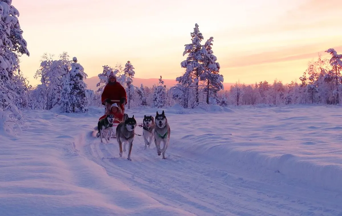 8 daagse excursiereis Lapland hotel Saaga — hoofdfoto