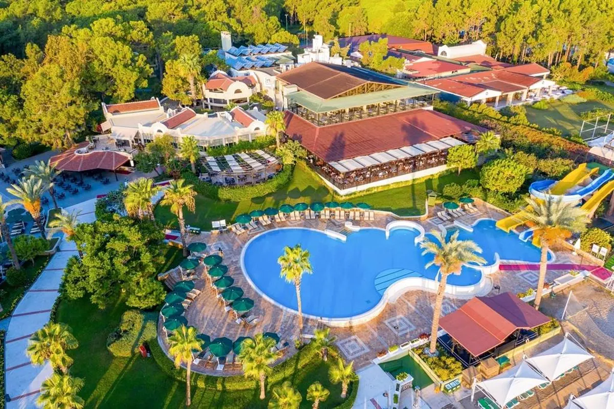 Gypsophila Club Marine — hoofdfoto