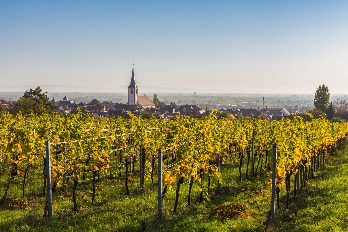 Ontdek de Duitse Wijnroute vanuit Bad Dürkheim, hoofdfoto
