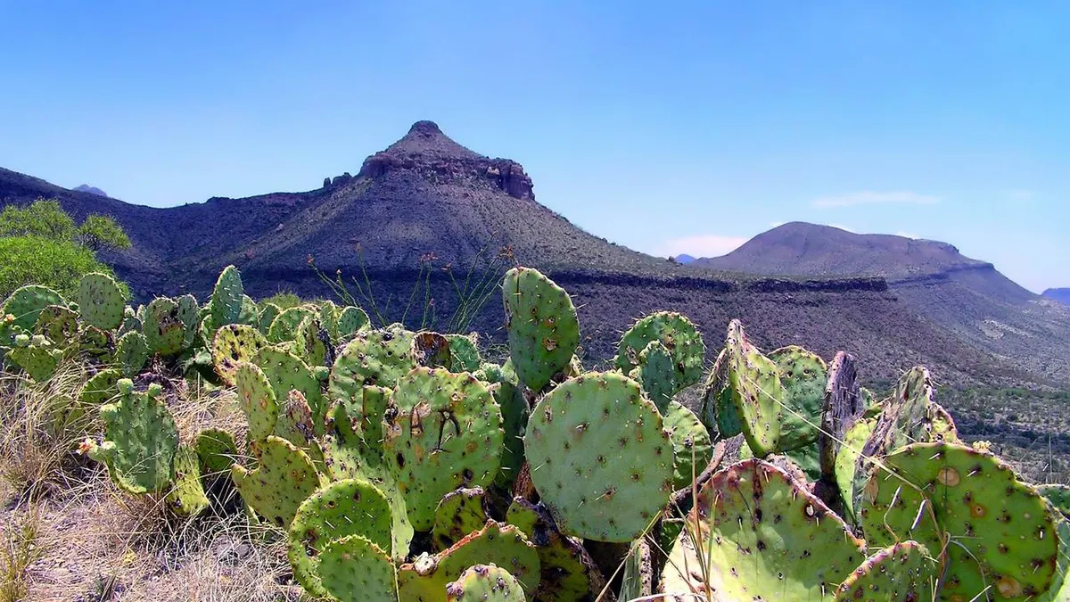 A Western Adventure in Texas — hoofdfoto