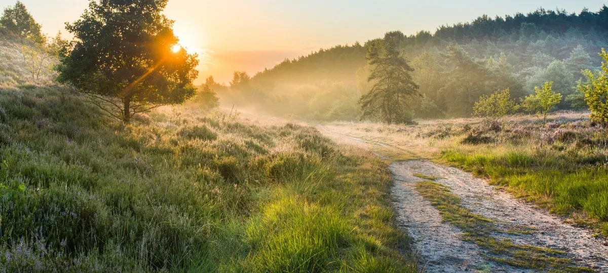 Camping San Lanaco — hoofdfoto