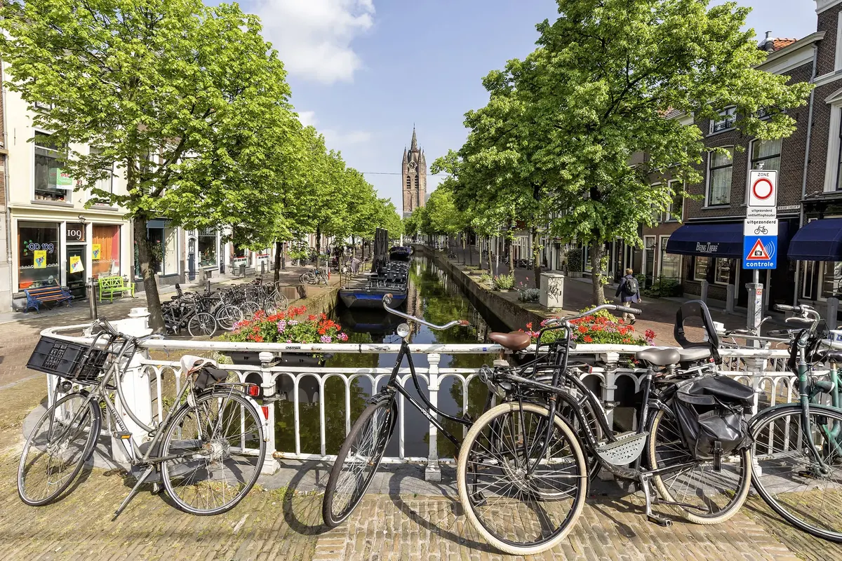 Fietscruise Zuid-Holland en omgeving — hoofdfoto