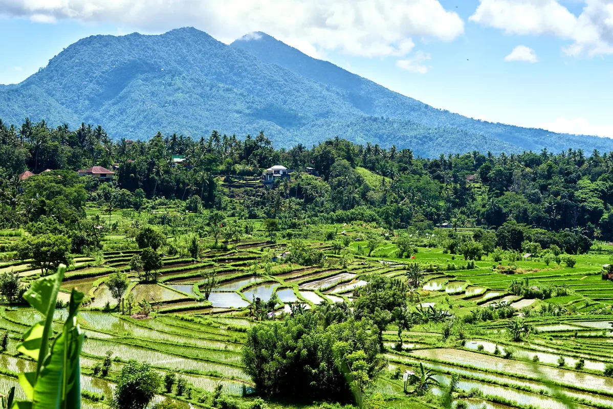 Traditioneel Bali — hoofdfoto