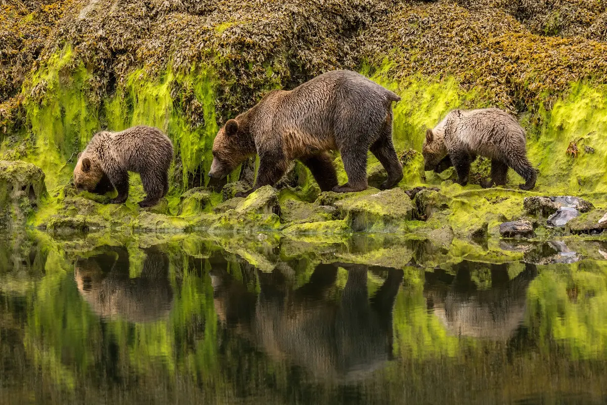 Mountain Country — hoofdfoto