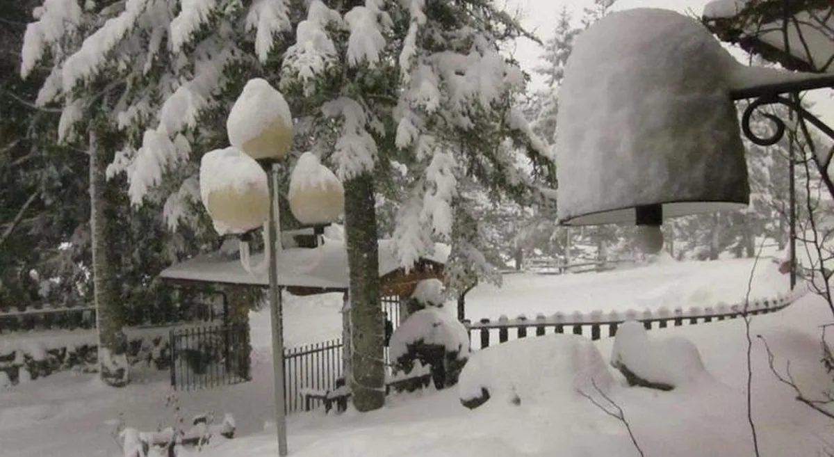 Orso Bianco, hoofdfoto