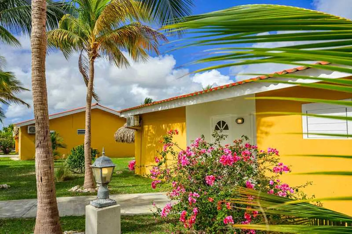 The Pearl of the Caribbean — hoofdfoto