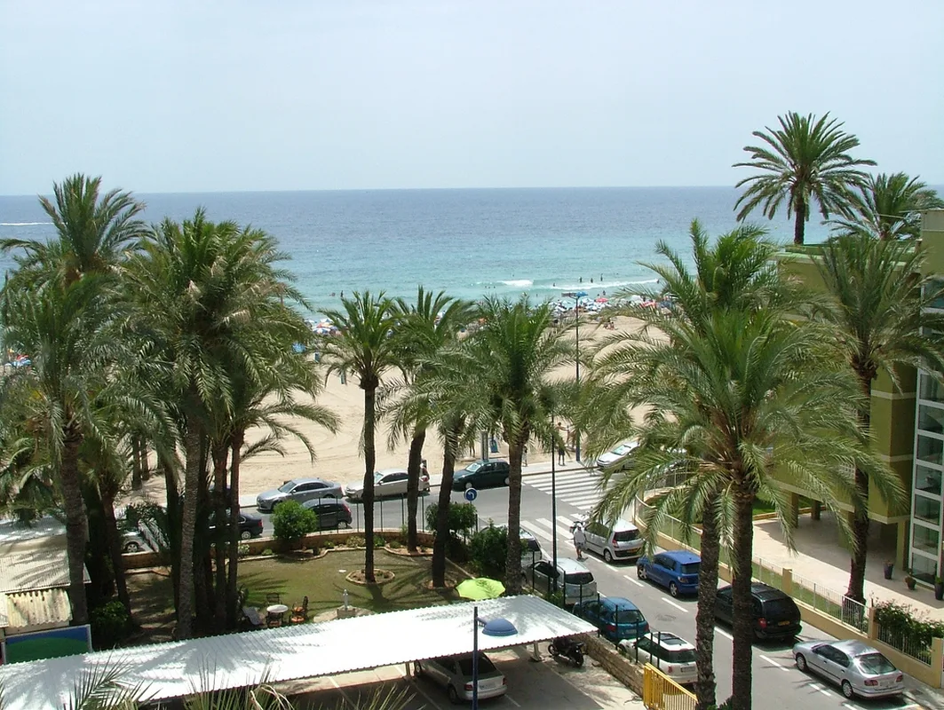 El Palmeral — hoofdfoto