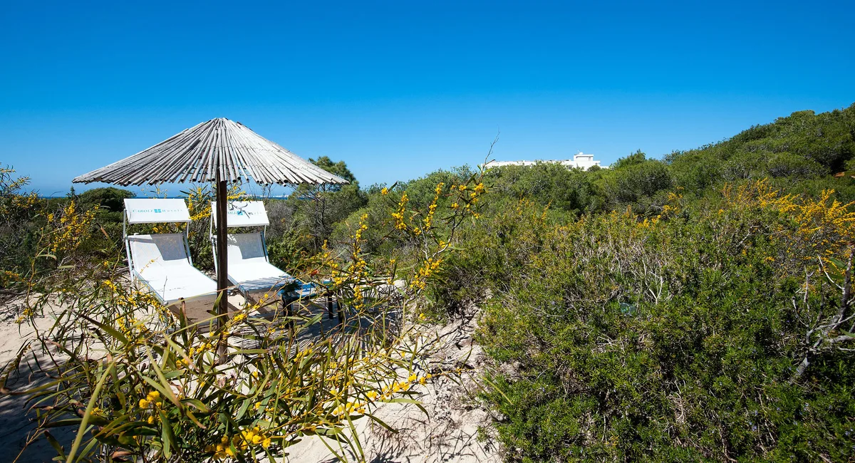 Hotel Ecoresort Le Sirene — hoofdfoto