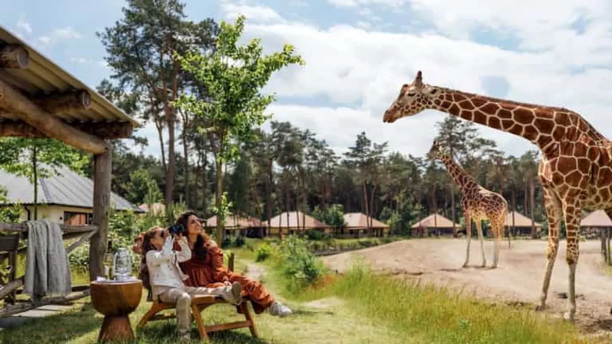 Safari Resort Beekse Bergen — hoofdfoto