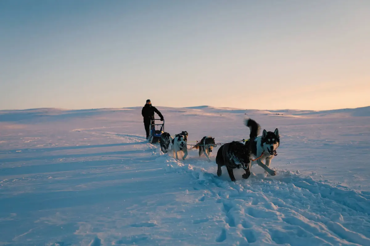Ontdek het winteravontuur vanuit Geilo — hoofdfoto
