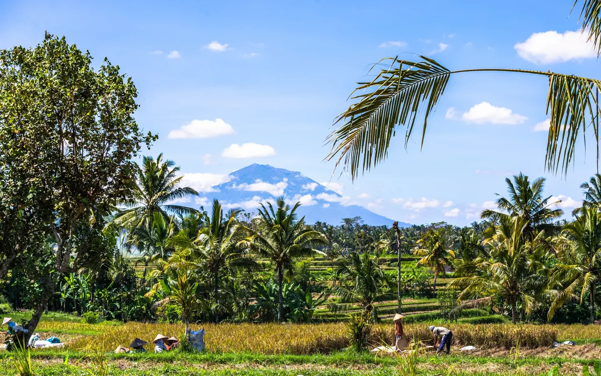 Bijzonder Bali — hoofdfoto