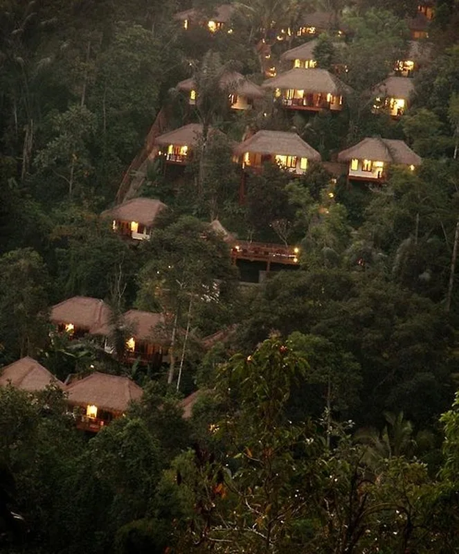 Nandini Jungle by Hanging Gardens — hoofdfoto