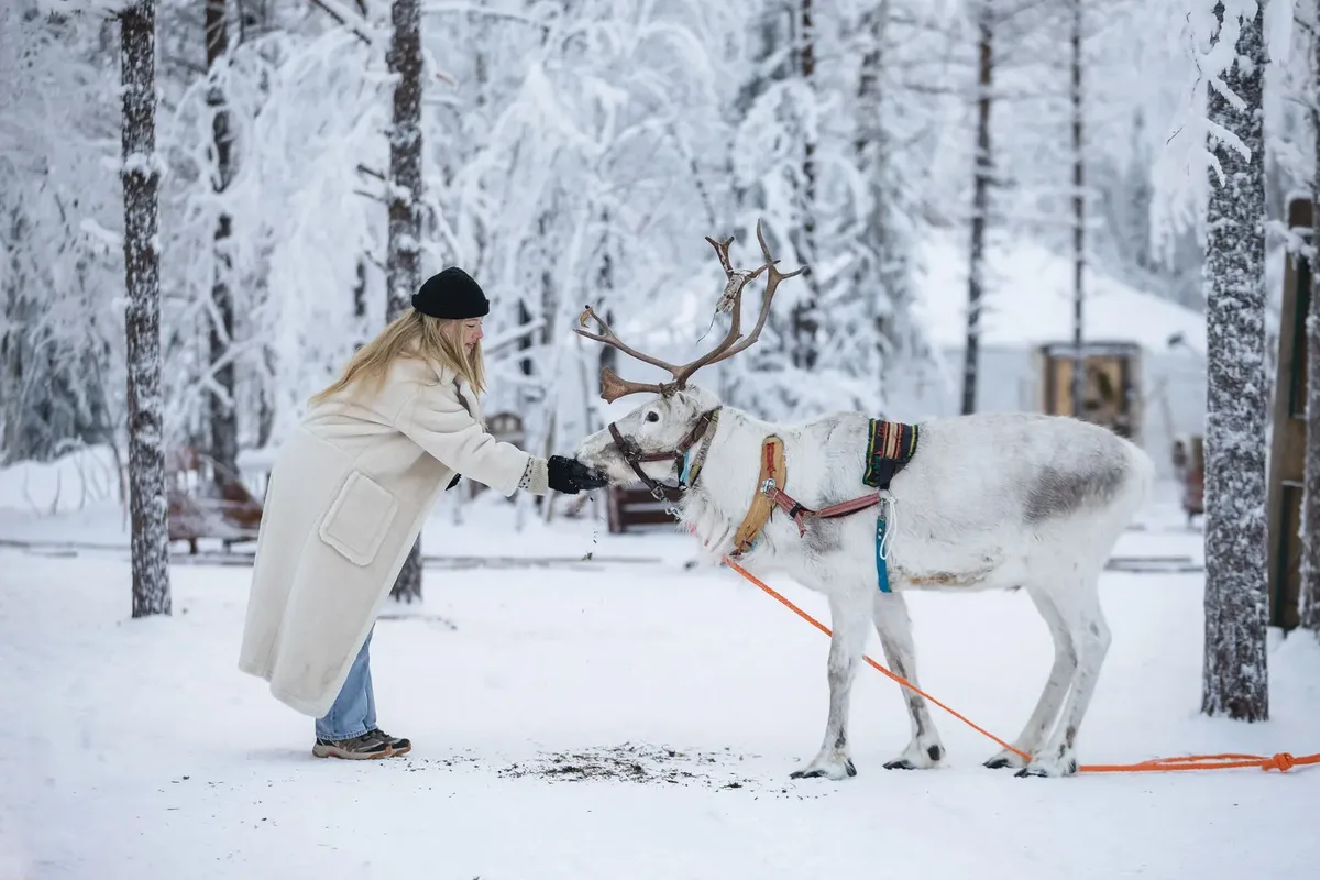 Vaattunki Wilderness Resort — hoofdfoto