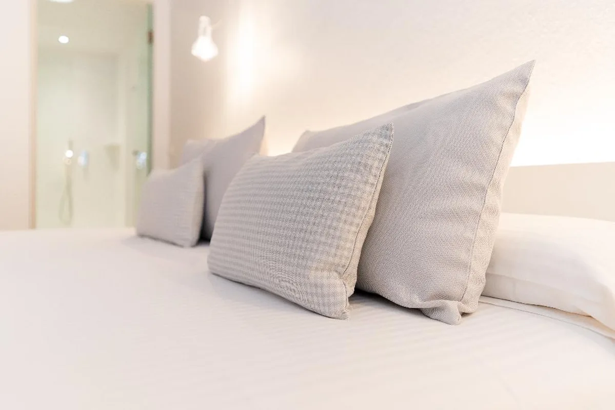 Hotel Canroca Nou, hoofdfoto