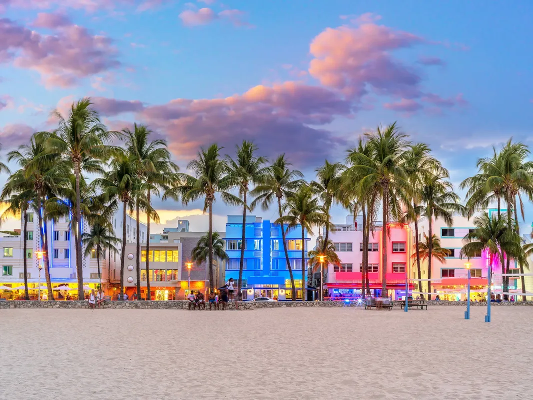 Florida Sunshine — hoofdfoto