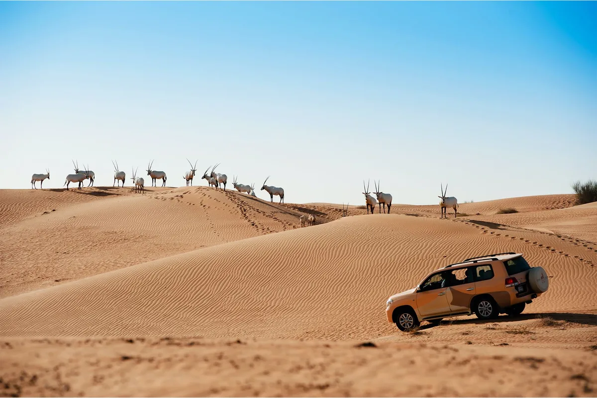 Al Maha, a Luxury Collection Desert Resort & Spa — hoofdfoto