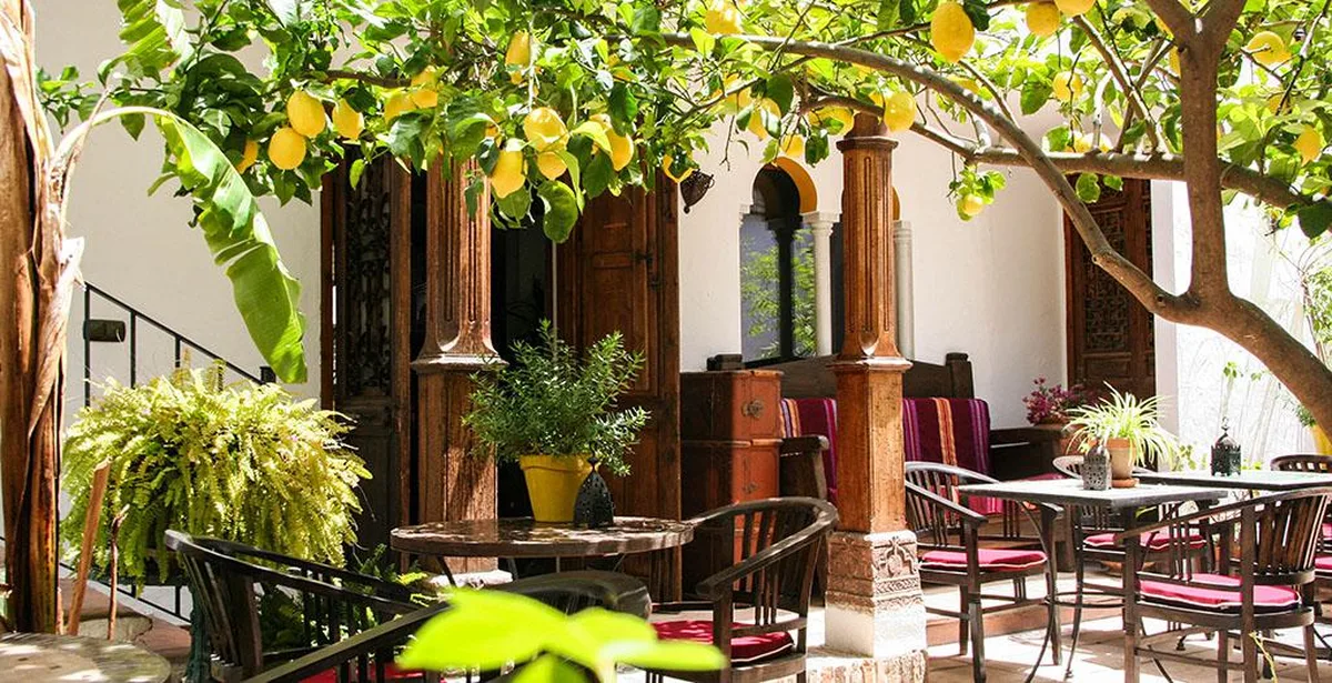 La Posada del Angel — hoofdfoto