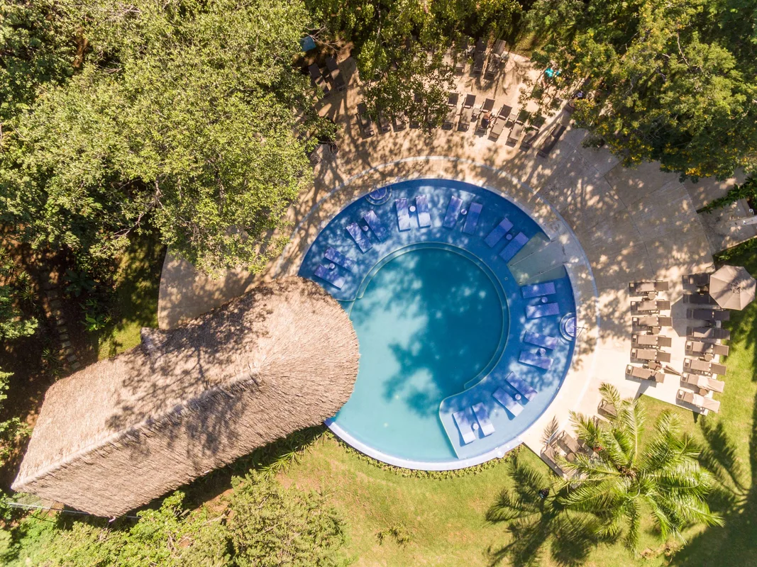 Occidental Papagayo — hoofdfoto